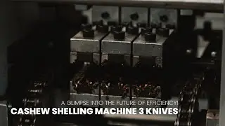Cashew Shelling Machine 3 Knives: A Glimpse into the Future of Efficiency!