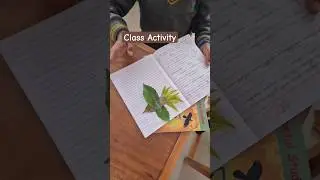 Class Activity #handsonlearning ##classactivity
