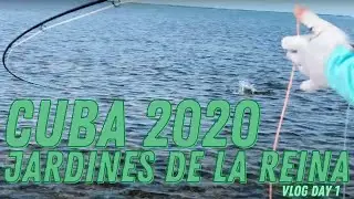 Fly Fishing Cuba: Day 1 Vlog - Crocodiles, Being Lucky, Flats Fishing for Bonefish, Tarpon, & Permit