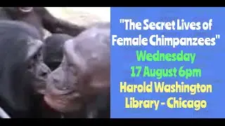 The Secret Lives of Female Chimpanzees - Dr. Melissa E. Thompson