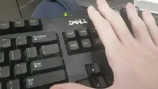 Windows 11 Has BSOD (Ctrl + Scroll Lock)