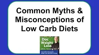 Doc Weight Loss   Common Myths and Misconceptions of Low Carb Diets
