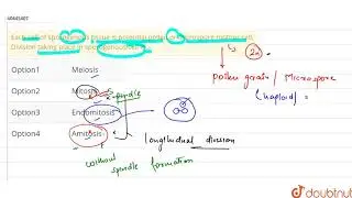 Each cell of sporogenous tissue is potential pollen or microspore mother cell, Division