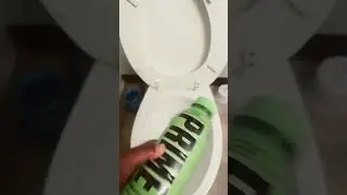 Prime toilet 7