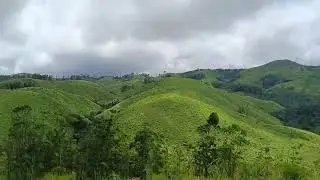 vagamon Pine valley beauty.... natures touch... Amazing kerala(1)