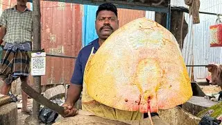 KASIMEDU SELVAM STRINGRAY FISH CUTTING | UK SONS MARINE 🇮🇳