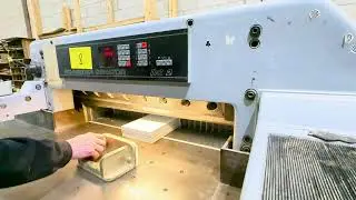 SCHNEIDER Senator 92 PC2 Guillotine, 36&rdquo; Cap.