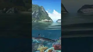 Caribbean Islands