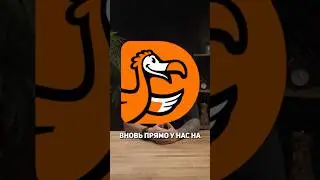 Додо тихо совершают революцию.