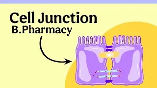 Cell Junctions Explained in just 1 Minute
