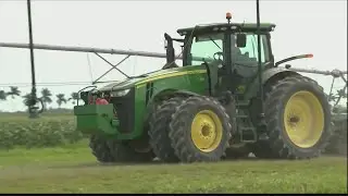 Disaster aid available for agriculture producers in Georgia