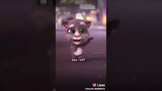 Kucing joget lucu aq sayang