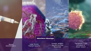 Precigen AdenoVerse&reg;: Advancing Targeted AdenoVerse Immunotherapies