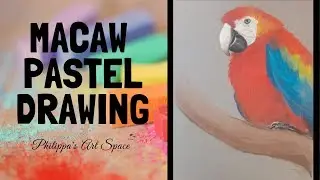 Macaw Drawing With Soft Pastels