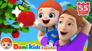 Colección de Canciones Infantiles | Manzanas y Bananas y Más | Domi Kids en Español