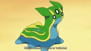 [Pokemon Battle] - Gastrodon vs Staraptor