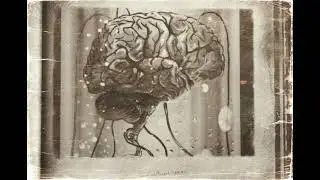 Fallout Tactics - Environment - Calculator II (𝙎𝙡𝙤𝙬𝙚𝙙 𝙏𝙤 𝙋𝙚𝙧𝙛𝙚𝙘𝙩𝙞𝙤𝙣)