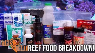 What Should You Feed Your Reef Tank?