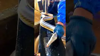 EPIC!! Eel Fish Cutting Mastery : Expert Fishmonger Knife Skills #shorts