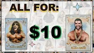 Topps Allen & Ginter WWE Wrestling Cards are AFFORDABLE!