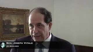 Vitale Comments on Catholic Church Sexual Abuse Scandal