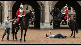 Royal Guard Horse Gets BRUTAL REVENGE on Disrespectful Tourist   INSTANT KARMA!