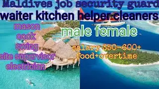 Maldives job security guard  waiter kitchen helper cook  cleaner work visa salary 350-500usd+food+ov