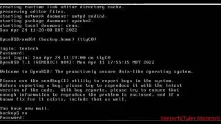 OpenBSD CARP Server Failover Setup