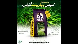 Kohenoor F1 Hybrid Velvet Grass Final Sowing Method کوہ نور ہائبرڈ رویلویٹ چارے کی کاشت کا طریقہ