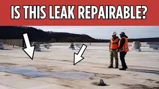The Truth About Commercial Roof Repairs