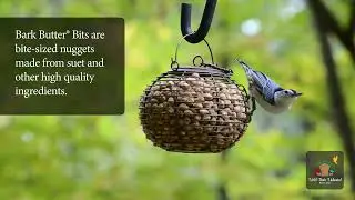 How Cool Is That! - Jim's Birdacious&reg; Bark Butter&reg; | Wild Birds Unlimited