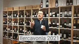 Ilercavonia 2021 &bull; Club del Vi &bull; Vi blanc de Maig