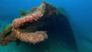 Virtual underwater view of coral growing on a sunken boat