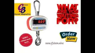 SHS Crane Scales Supplier G3Chem
