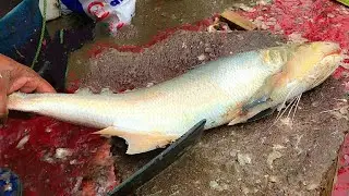 Cleaning & Cutting Rawas Fish Into Equal Pieces By Experienced Fishmonger