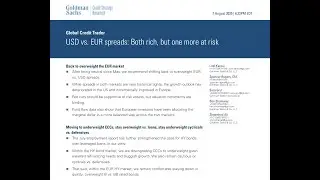 USD Risk or EUR Risk? Goldman Studies Credit Markets