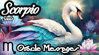♏Scorpio |🔮Mysterious Blessings Come To The Surface In Your Honor | Timeless Oracle Messages
