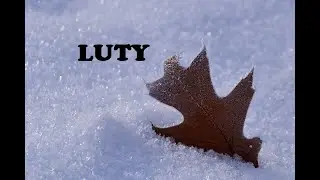 Luty 2026. Znaki Powietrza🌪 Bliźnięta⚡Waga⚡Wodnik