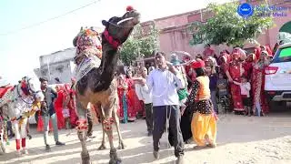 New Rajasthani Wedding Dance Video 2022 | New Camel Dance Video | New Marwadi Dj Song 2022