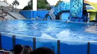 Shammu show Seaworld..
