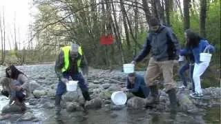 Pacific Salmon Foundation 1987-2012