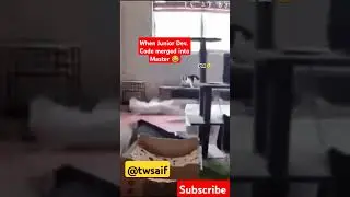 Junior Developer pushes code #funny #reactnative #memes #reactjs #reactjavascript #prog #reactadvanc