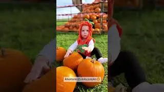 Adventures of a baby pumpkin #shorts #shortsvideo #shortvideo #babies #baby #cutebaby