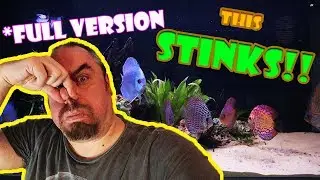 RIP Breeding project - Why does my aquarium smell???