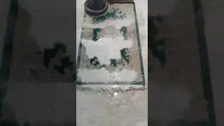 Satisfying BBQ sauce rug clean #rugcleaning #cleaning #satisfying #fyp #rugscare #dirty #relaxing