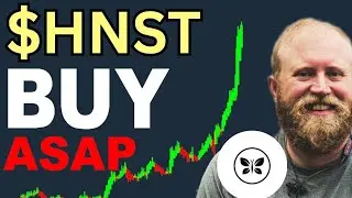 HNST Stock WEDNESDAY NEWS! (the exact answer) Honest Company stock analysis best broker