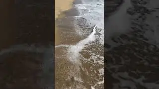 The Travel Stories ❣️ #beach #waves #tides #sea #beautiful #beachshoot #story #status #travelstories