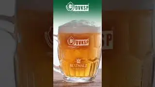 Unlock Golden Perfection in Your Beer with BEST Caramel&reg; Hell Malt | Elevate Your Brewing Game 🍺✨