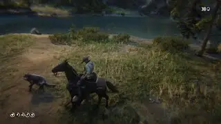 Arthur Fighting Wolves While Drunk on Aged Pirate Rum : Red Dead Redemption 2