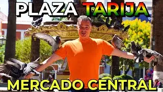 [QUÉ LINDA ES BOLIVIA!] Recorrimos la HERMOSA plaza central de TARIJA y el moderno MERCADO CENTRAL